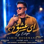 وحید هوشمند