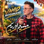 وحید هوشمند