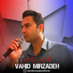 وحید میرزاده