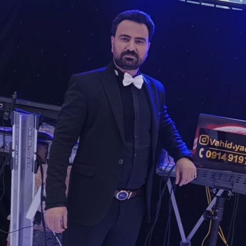 دانلود آهنگ وحید یدرنجی بنام من اوزوم گدرم